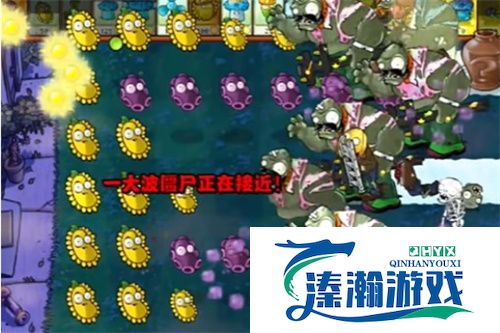 PVZ杂交版益智模式忧郁咖啡豆1过关流程分享