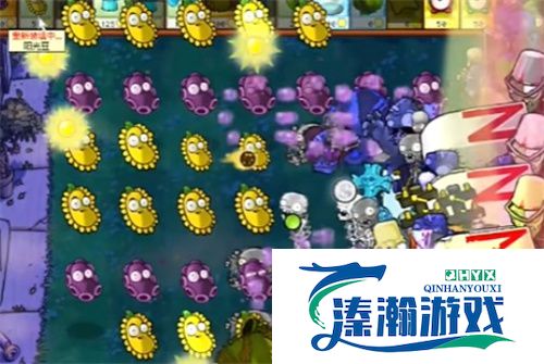 PVZ杂交版益智模式忧郁咖啡豆1过关流程分享